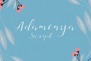 Adamenya: A Handwritten Font for Warm, Human-Centered Web Design