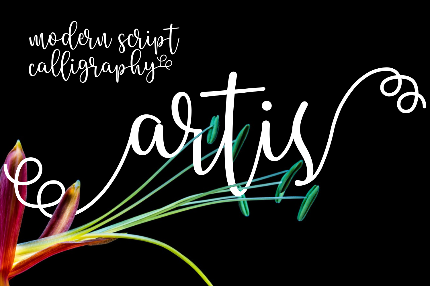 Artis: A Script Handwritten Font for Impact