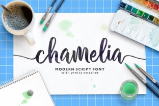 Chamelia: A Handwritten Font for Creative Campaigns