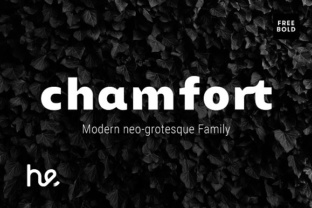 Chamfort: A Modern Sans Serif