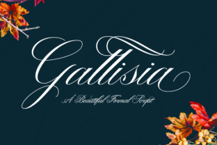 Gallisia: A Script Font for Web Design