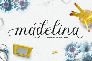 Madelina: A Warm, Confident Script for Real Brand Work