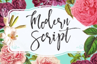 Modern Script Font for Web Design
