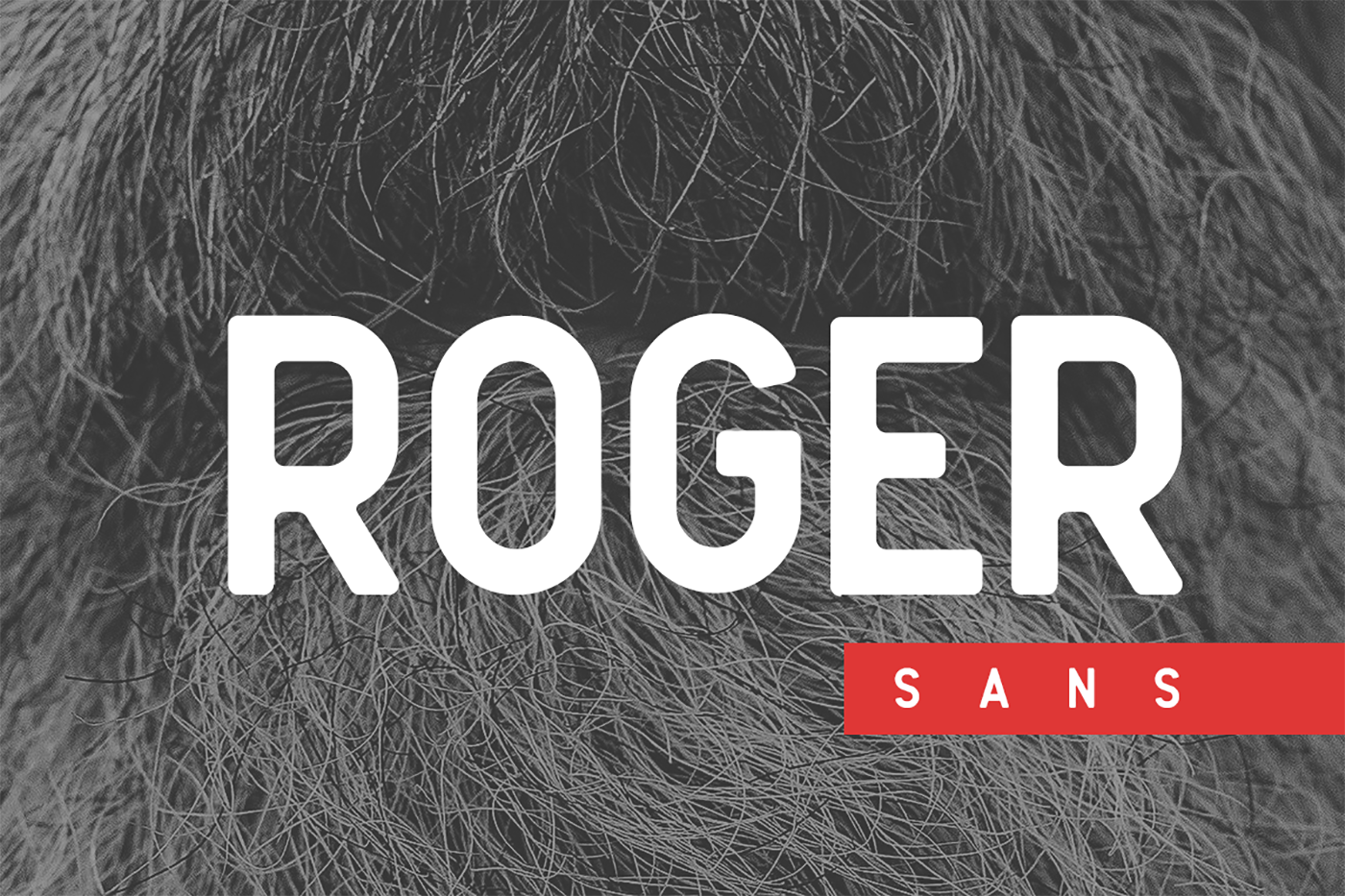 Roger Sans: A Vintage Sans Serif
