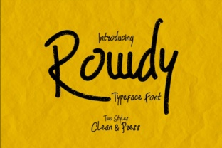 Rowdy Font: Modern Handwritten Style for Web Design