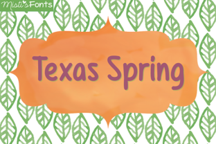 Texas Spring Font for Web Design